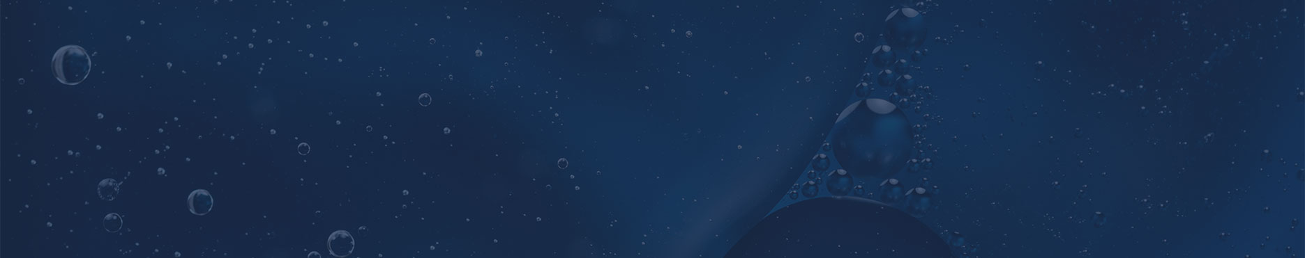 companies-component-bg